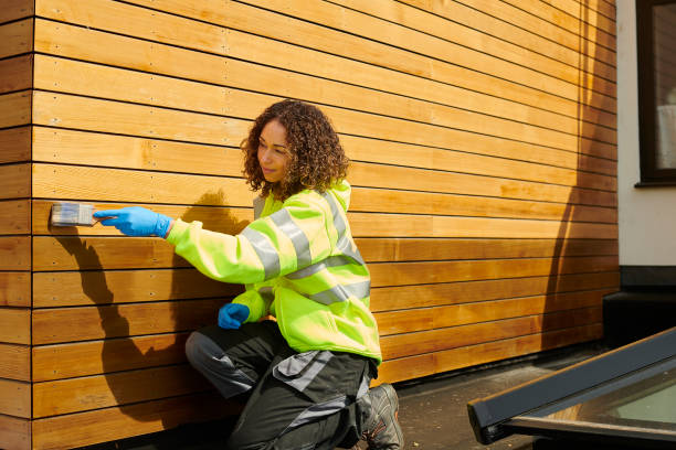 Best Custom Siding Design  in Winnsboro, LA